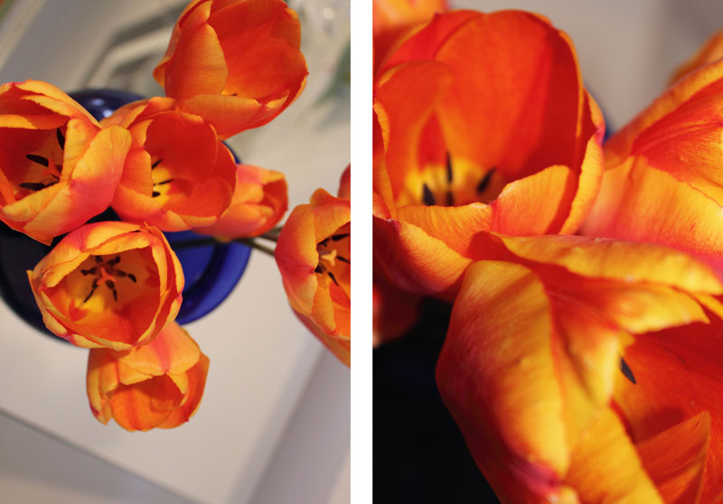Two Orange Tulips in Blue Vase Diptych