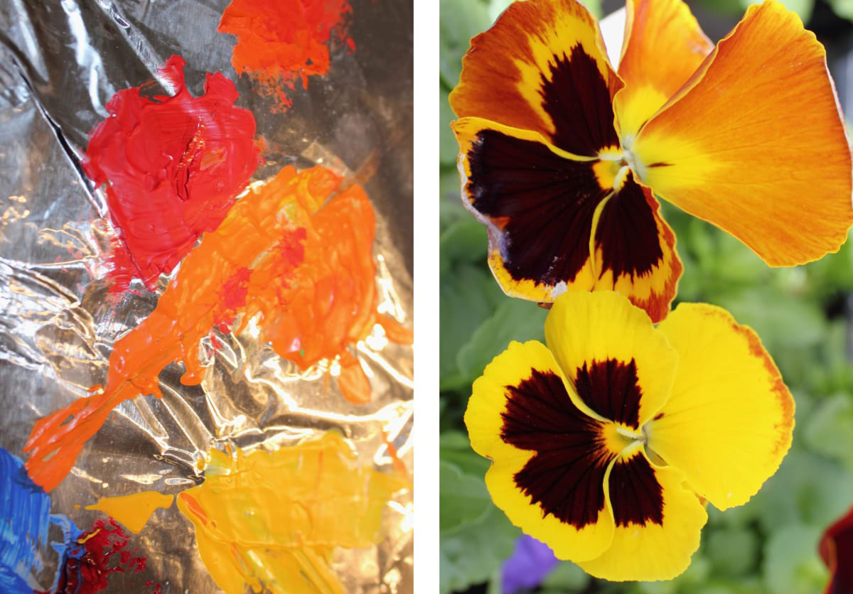 Pansies and Palette