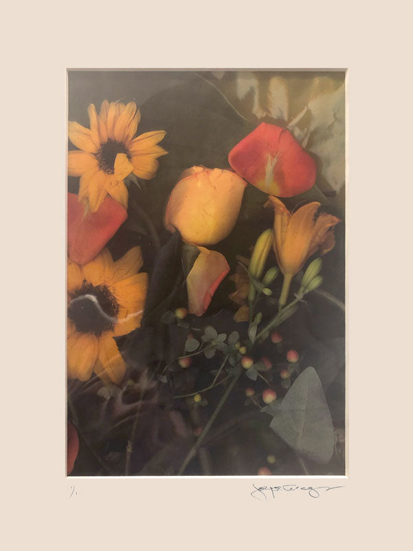 Xerox Flower IV